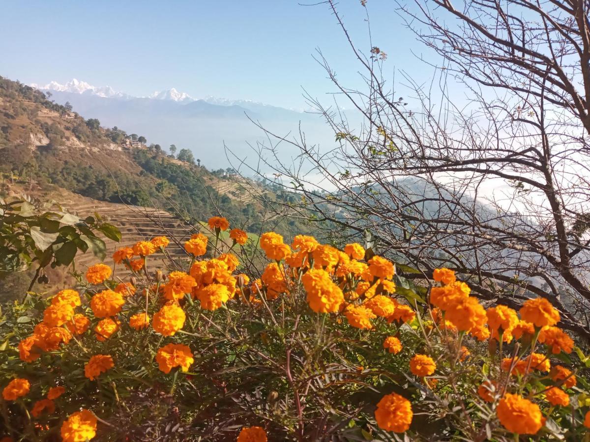 Unique Point Home Stay Nagarkot Extérieur photo