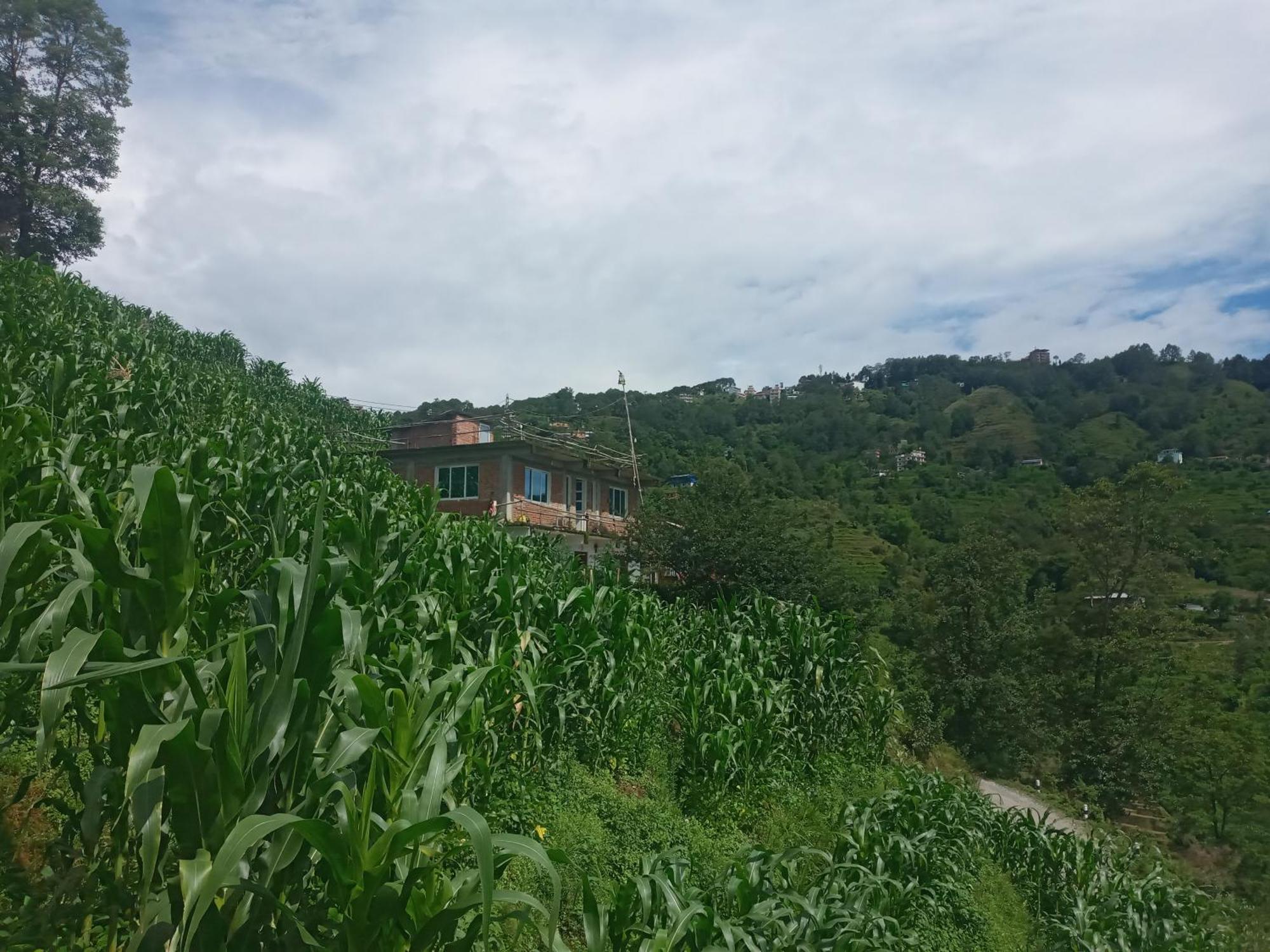Unique Point Home Stay Nagarkot Extérieur photo
