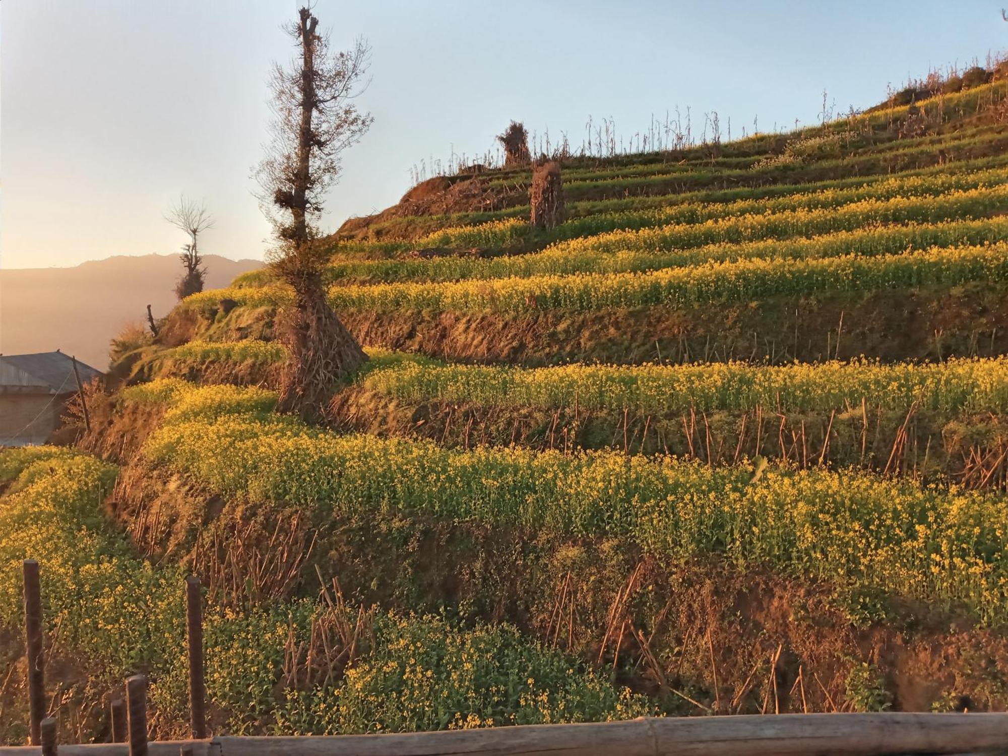 Unique Point Home Stay Nagarkot Extérieur photo