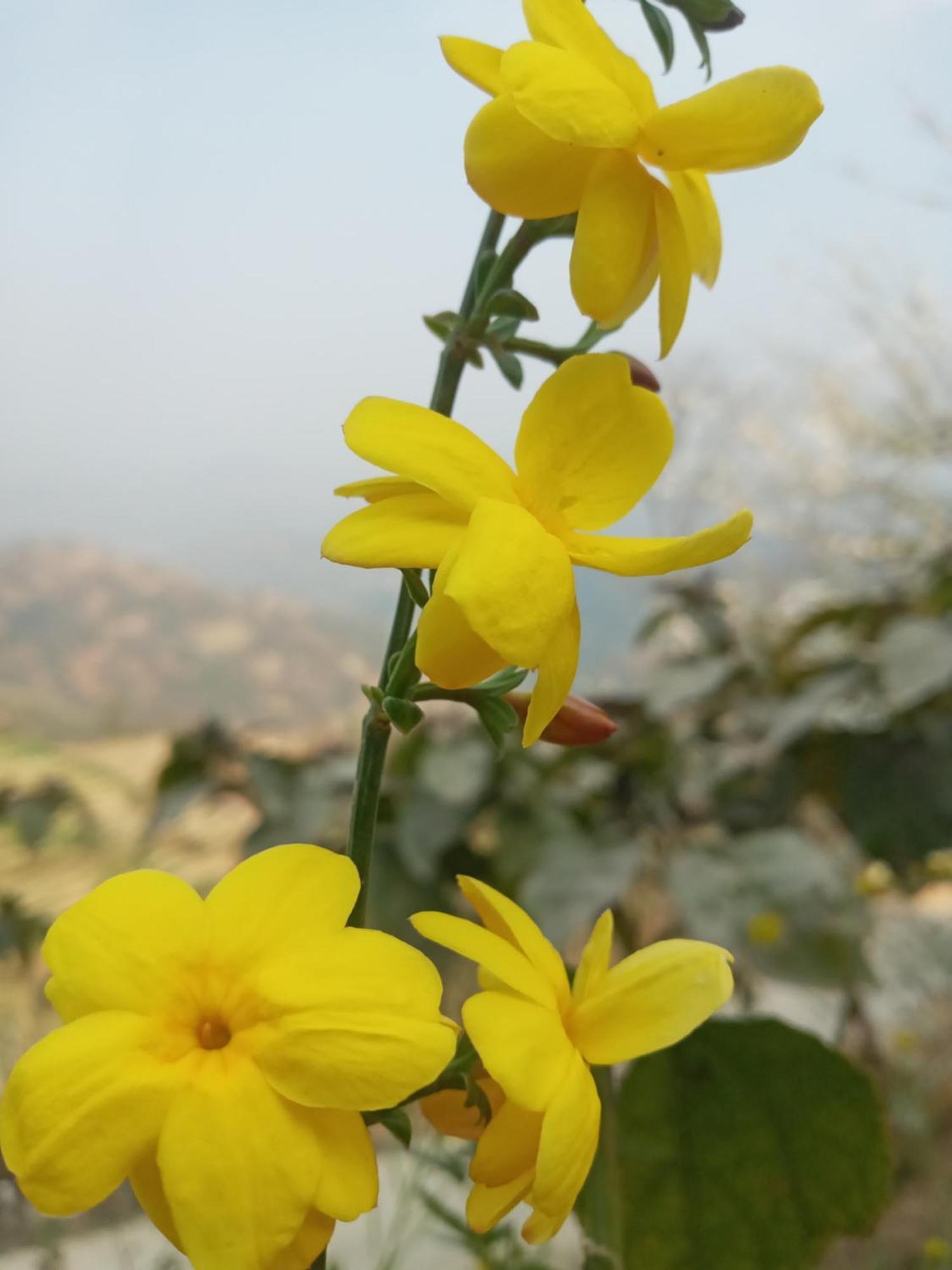 Unique Point Home Stay Nagarkot Extérieur photo