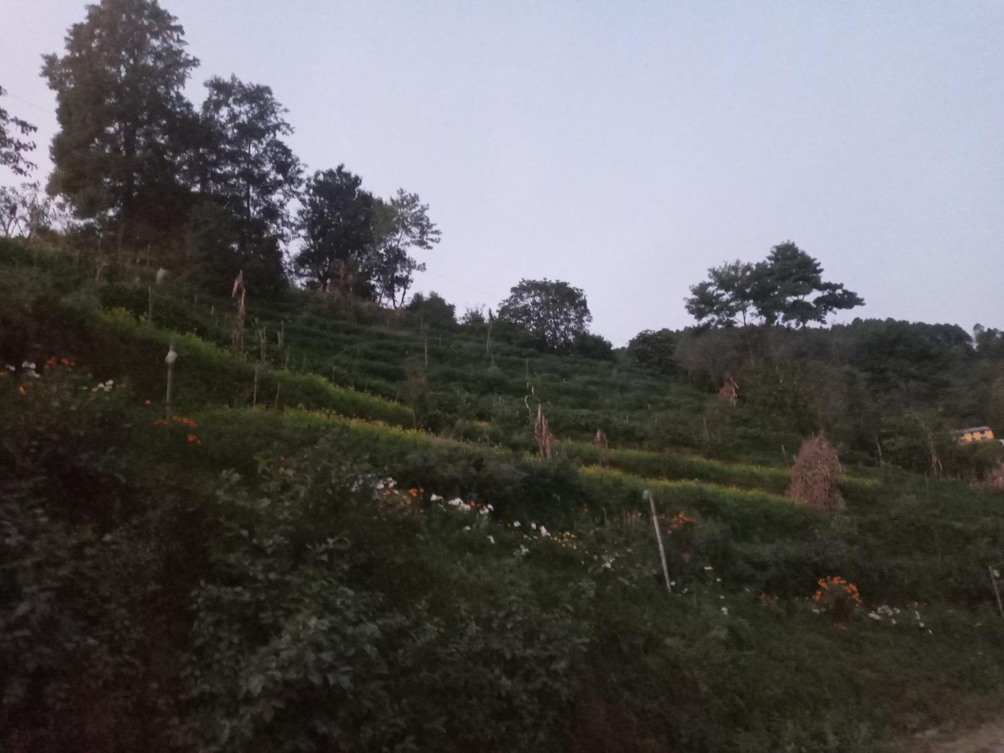 Unique Point Home Stay Nagarkot Extérieur photo